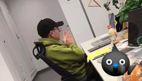 阿里动物王国再添成员，钉钉以燕子为形象，打造“钉三多”品牌IP