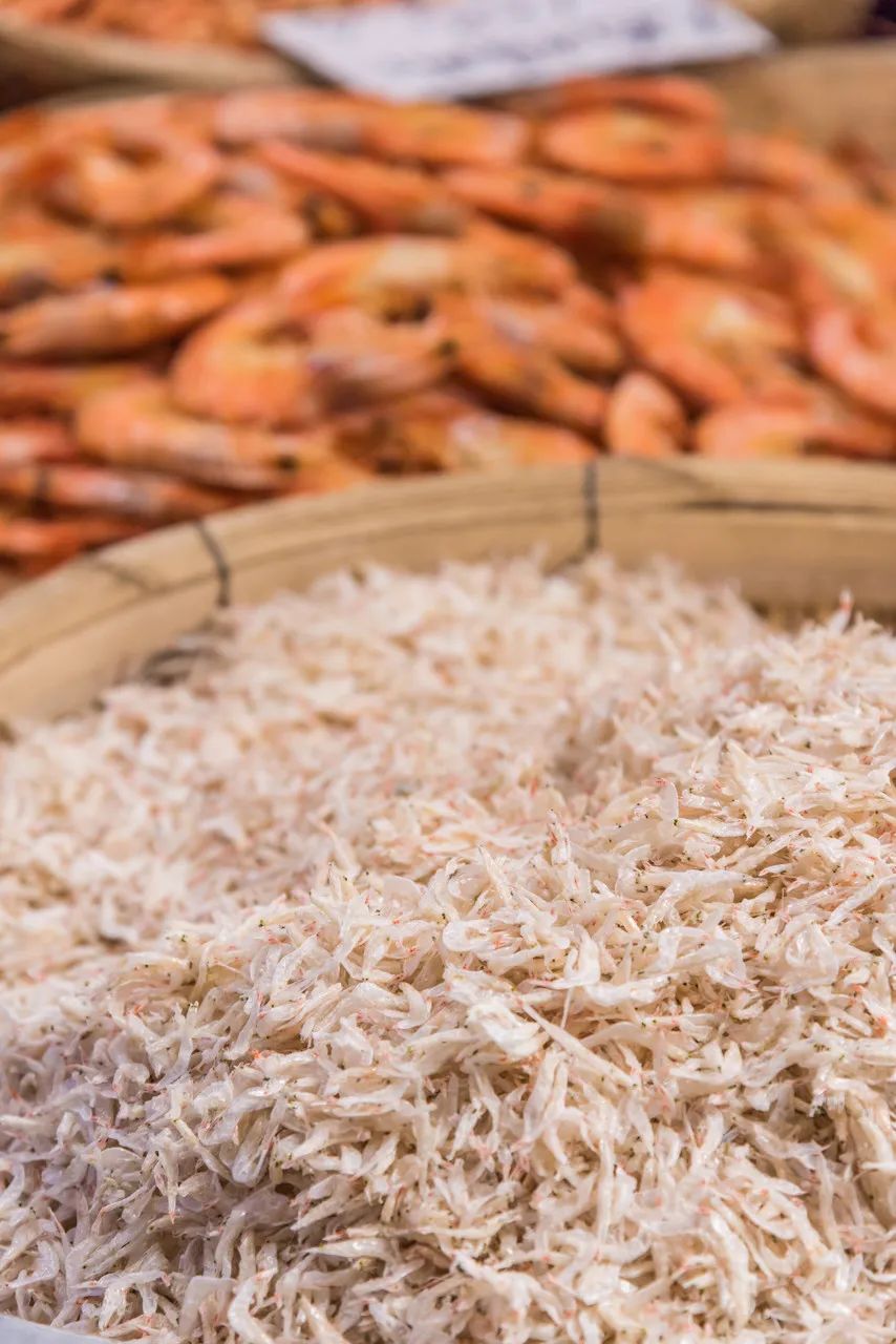 突然就想去成都了,突然想去青岛了