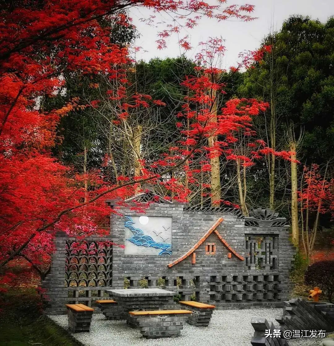 成都温江特点旅游,新旅游潮成都主题旅游目的地