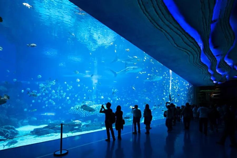 珠海长隆海洋王国景观,珠海长隆海洋王国设计