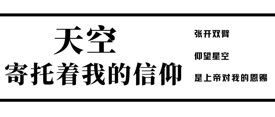 新西班牙国家队,西班牙新哈维