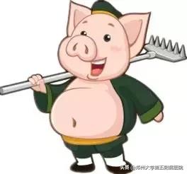 关于肠道微生态的故事,肠道微生态的重要性和调理方法