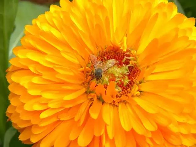 新晋美妆红人林允揭晓肌肤奥秘,美妆博主林允香奈儿