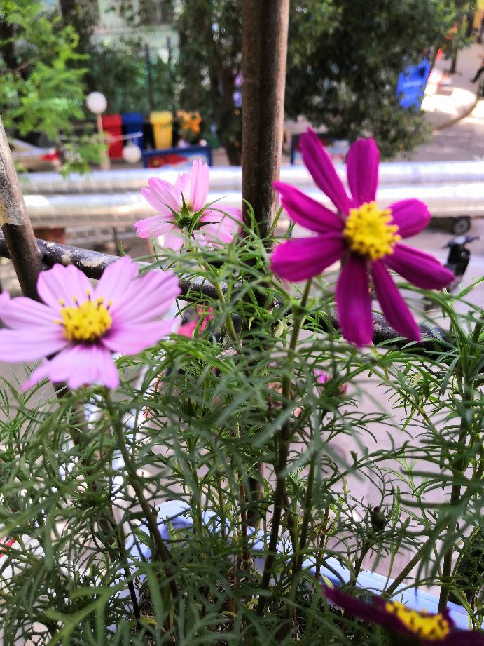 绝句的56种写法,七言绝句56个技巧