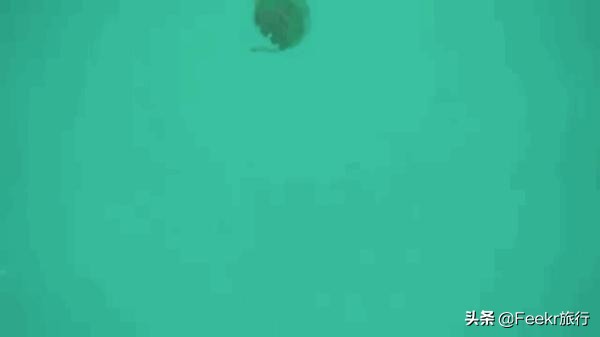 最值得一去的海岛推荐,适合自由行的东南亚海岛