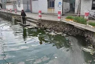 臭水塘变清水塘,臭水塘改导致景观