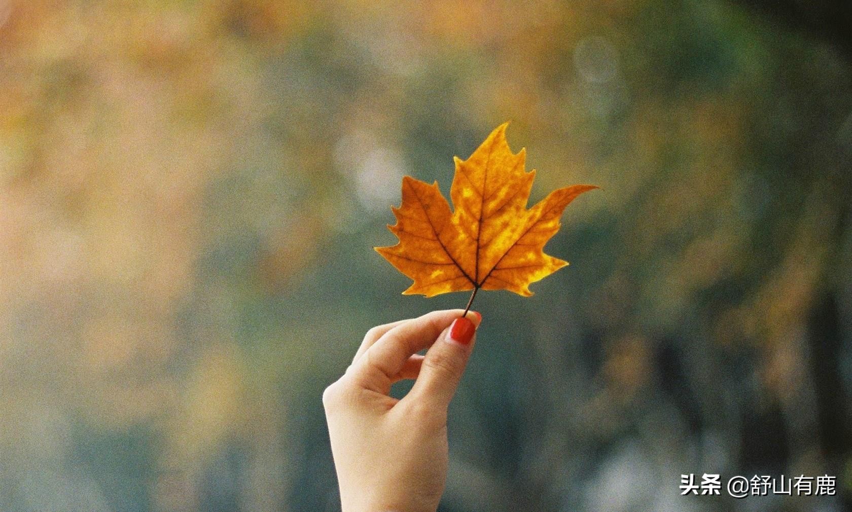 处世待人“两守两戒”：守笃实，戒机巧，守强毅，戒刚愎