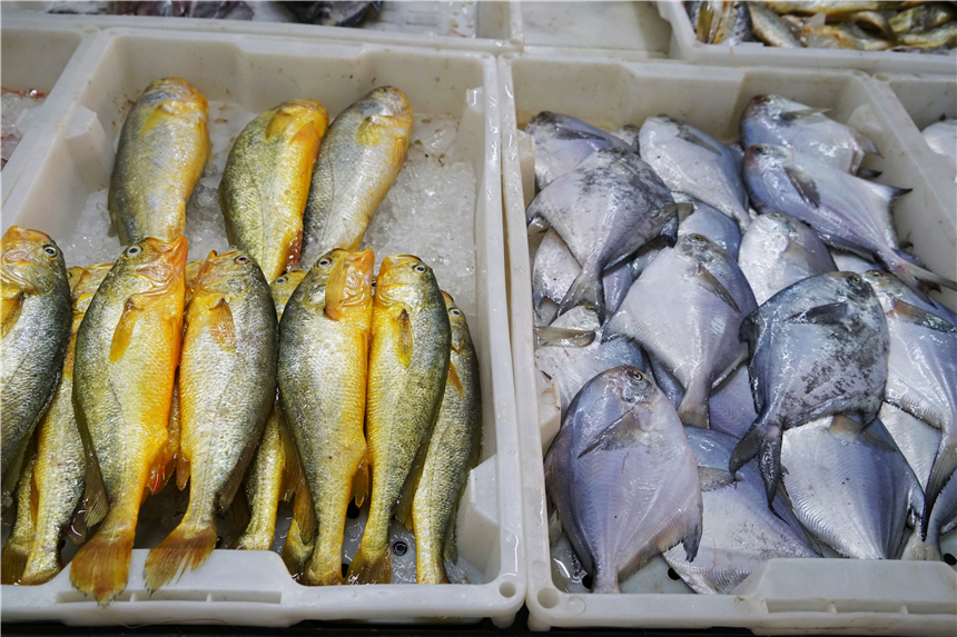 嵊泗列岛的梭子蟹很棒,浙江象山石浦码头梭子蟹