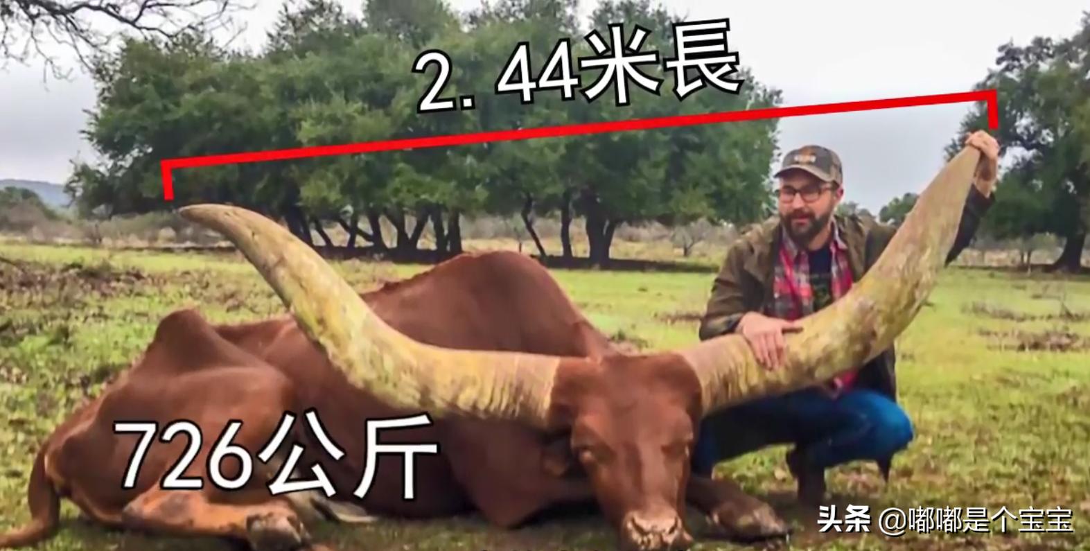 最恐怖的五种杂交生物,科学家搞出来的神奇杂交物种