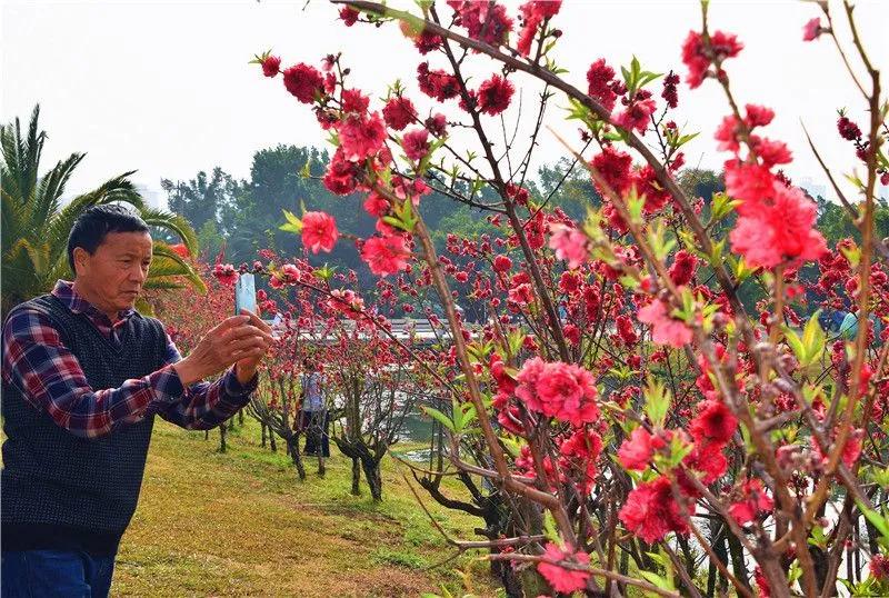 瞧！这花花世界谁不爱