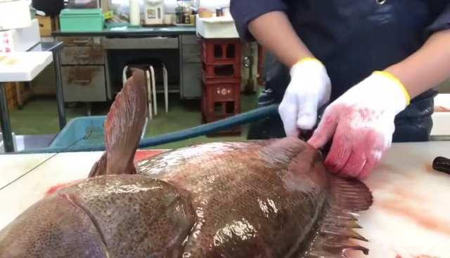 月薪三万的日本顶级厨师，处理“极品大石斑”，你觉得如何？