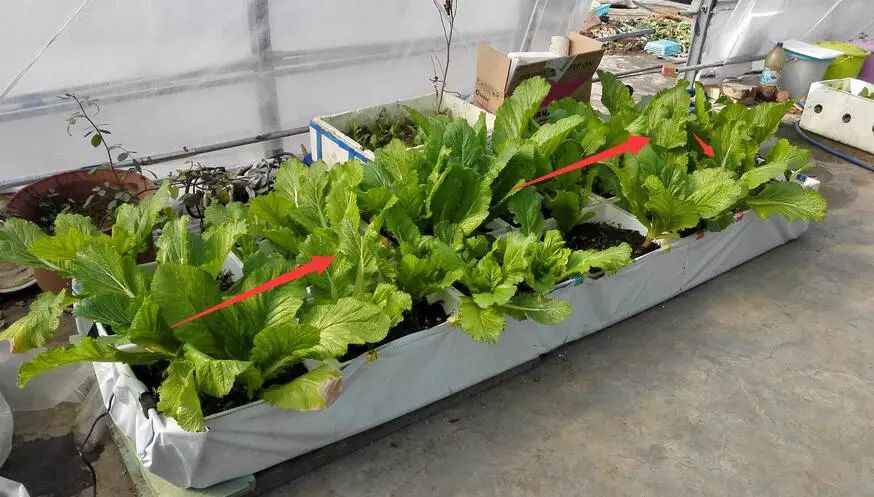 二培箱安装视频教程,池氏二培