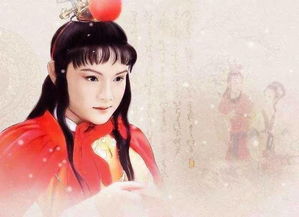 红楼梦贾宝玉人物形象分析和评价,红楼梦贾宝玉竟乞讨到袭人家门口