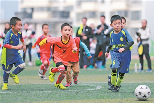 《解析中国足球青训现状及问题》,全面解析中国足球青训体系的养成