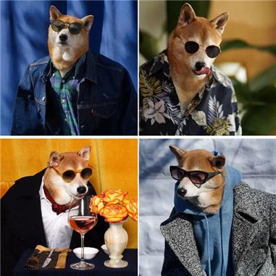 成熟狗狗穿搭,狗界王老五的时尚型穿搭示范