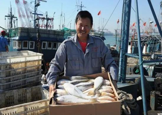 刀鱼从60块钱一斤，跌至3块钱一斤，消费者：再便宜也买不起