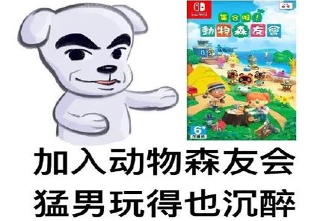 猛男必备的10种萌宠,猛男必玩的动物森友会