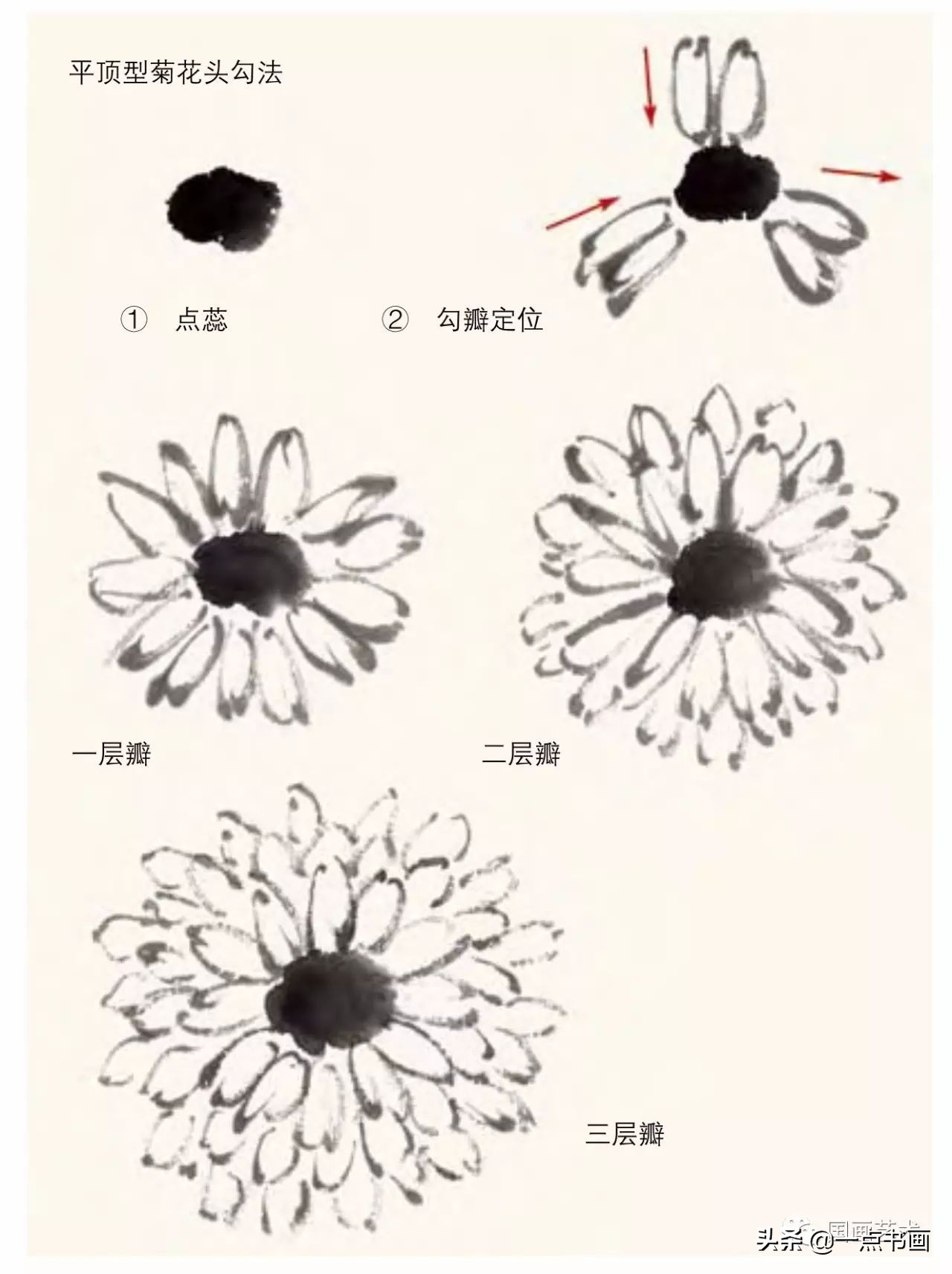菊花画法教程简笔画,菊花拟人画法