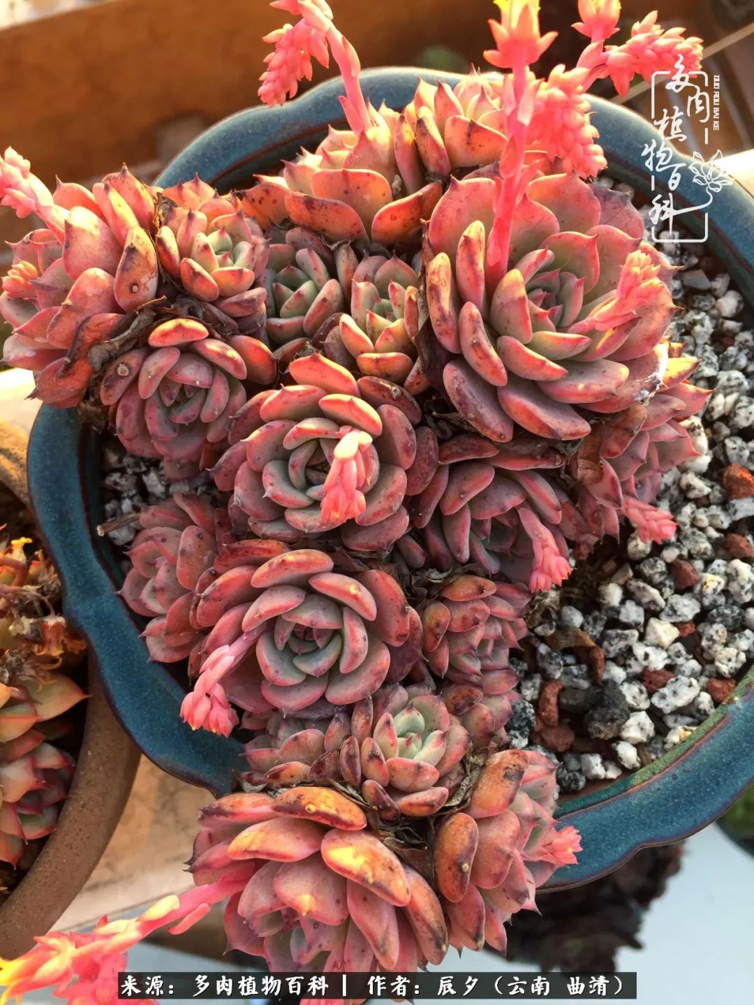 缂辩换鏃栨棊钁宠暏鐢熼,缂辩换鏃栨棊钁宠暏鐢熼鍑哄