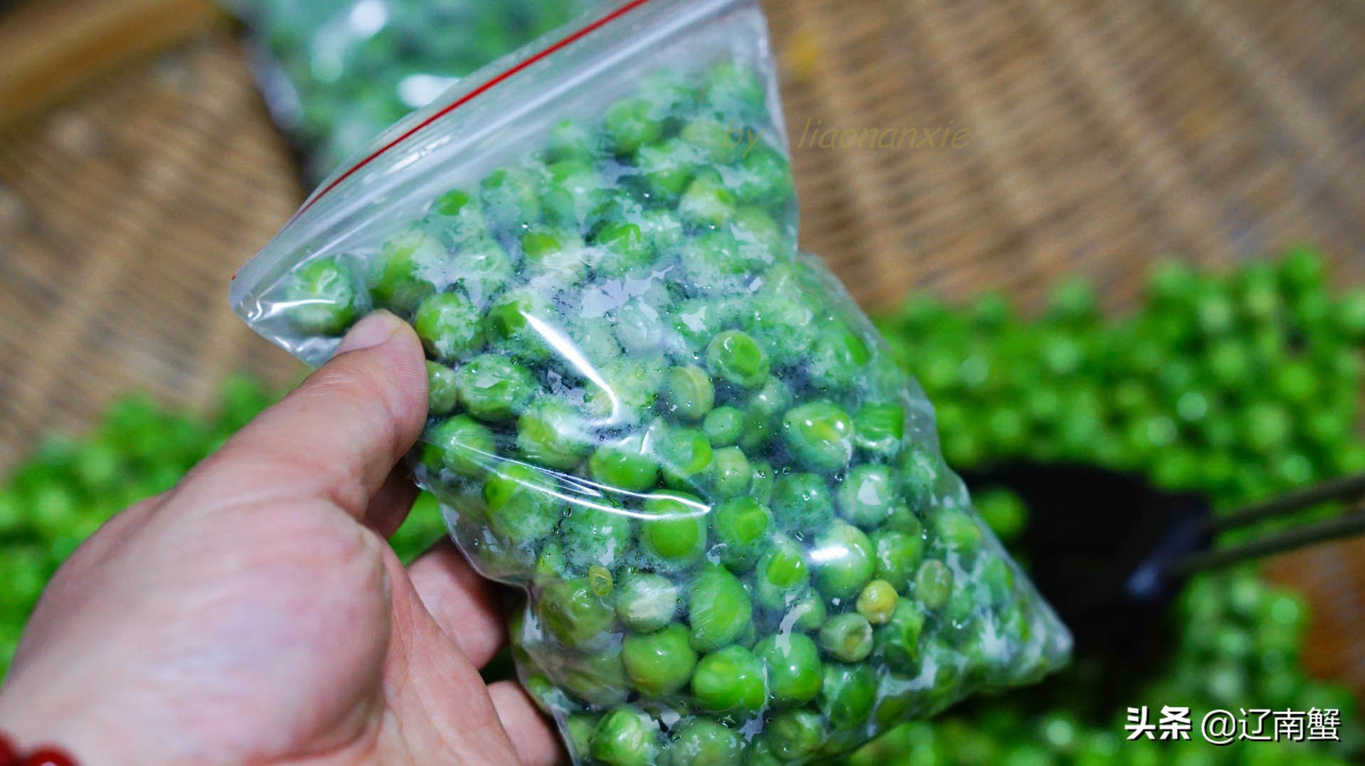 豌豆玉米可以冷冻吗,玉米豌豆保存