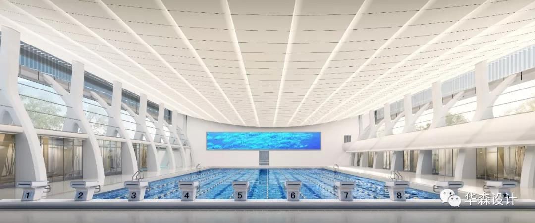 东京奥运会潜水比赛场馆,备战东京奥运会潜水队