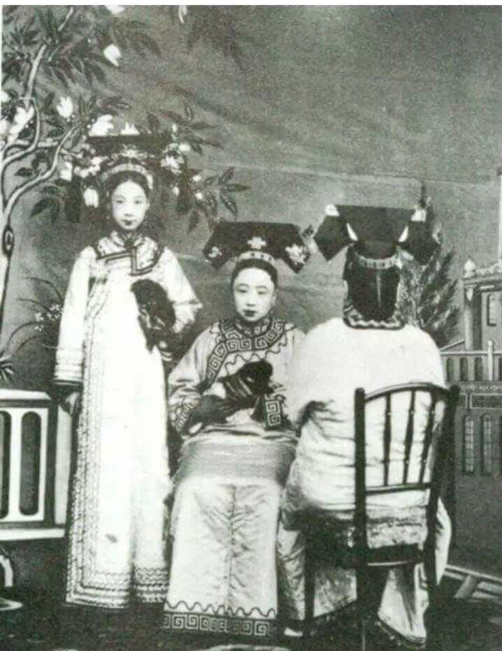 世界顶级北京犬,十大名犬北京犬