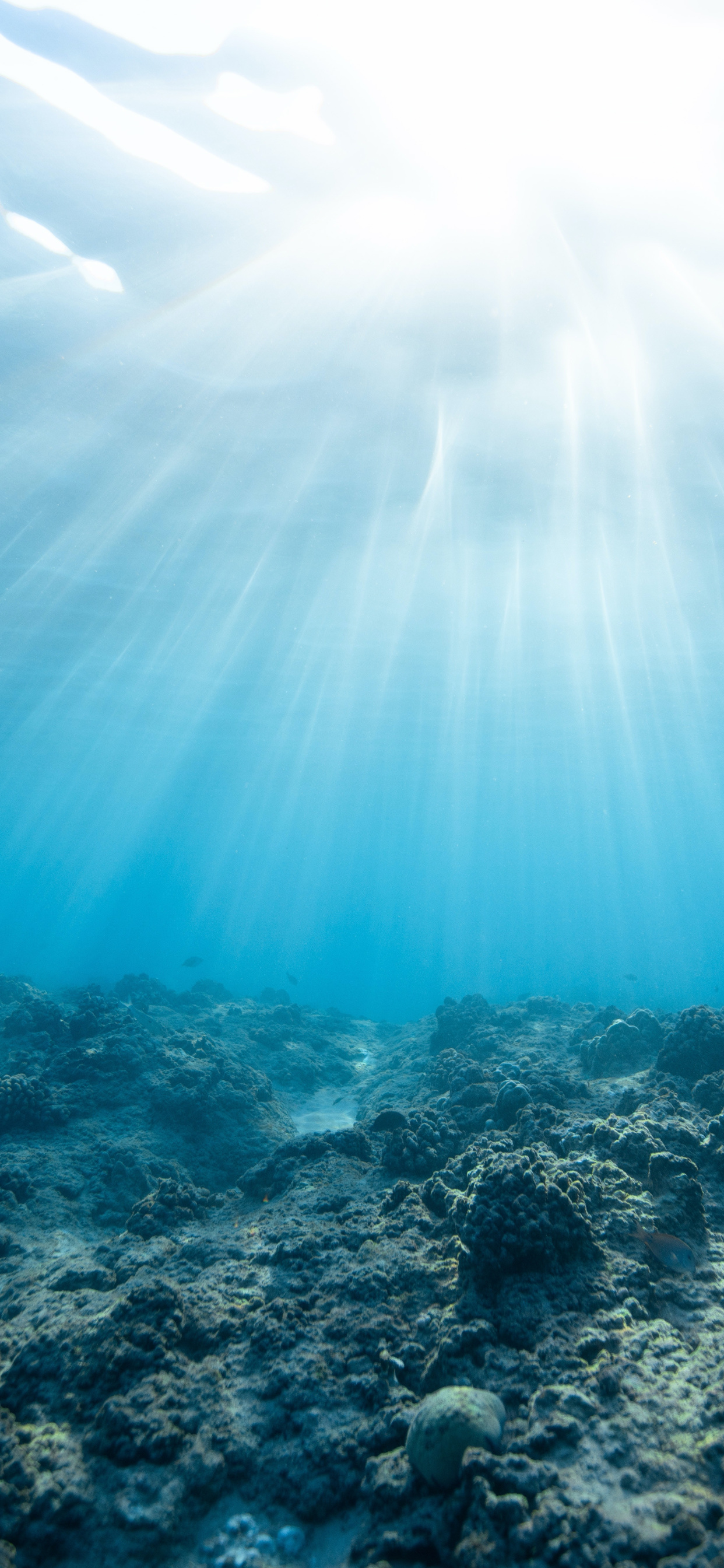 刘海屏手机壁纸苹果,iphone11桌面壁纸刘海屏