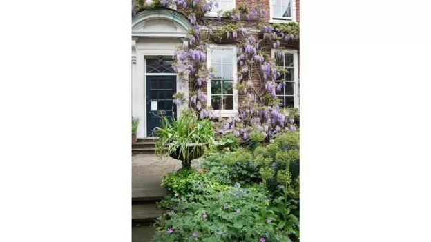 浼︽暒缁垮湴鑺卞洯,浼︽暒缁垮湴鑺卞洯瑙嗛