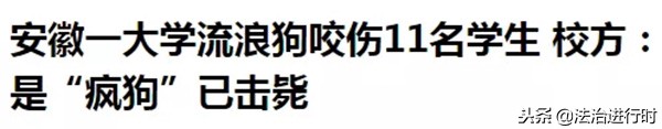 大学生宿舍养猪,当代大学生宿舍养猪的行为