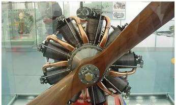 飞机的飞行原理和鸟的飞行原理,飞机的飞行原理是根据什么动物