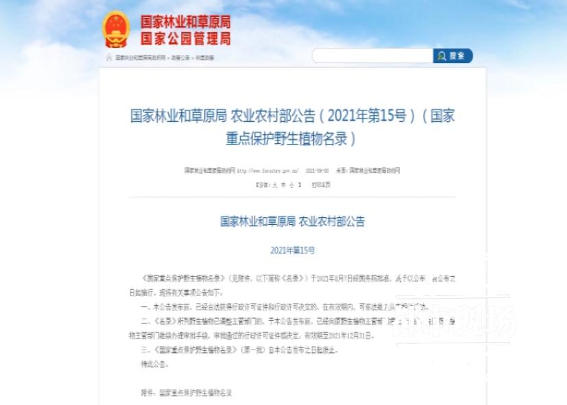 江西有野生兰花吗,江西野生兰花品种