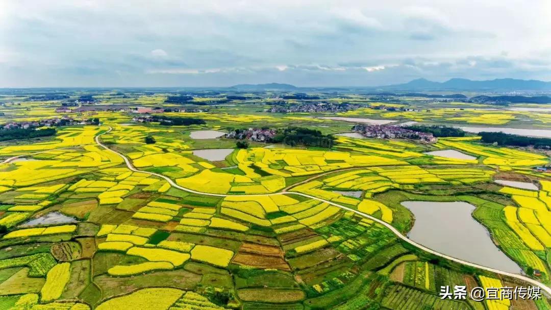 安庆特点地名,安庆地名