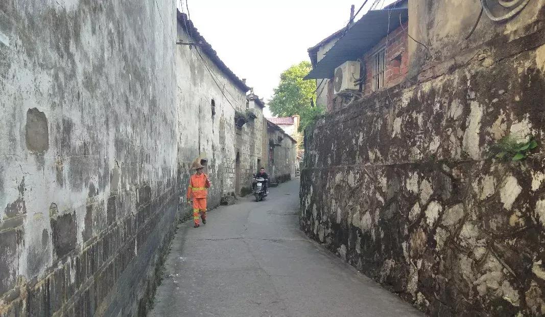 一家四口都得了精神病的故事,儿子得癌症夫妻俩同一天自尽