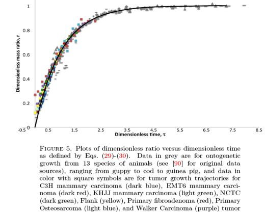 科学家找到6个神奇的数字,科学家找到6个神奇数字