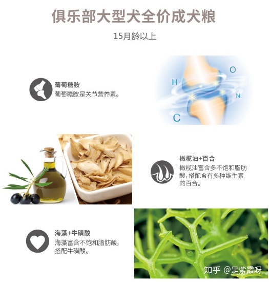 狗粮专家国产狗粮推荐,国产狗粮什么牌子好还便宜又好吃