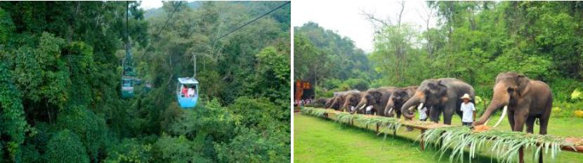 西双版纳景点、门票大全