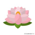 成人看图学英语之各种类型的花