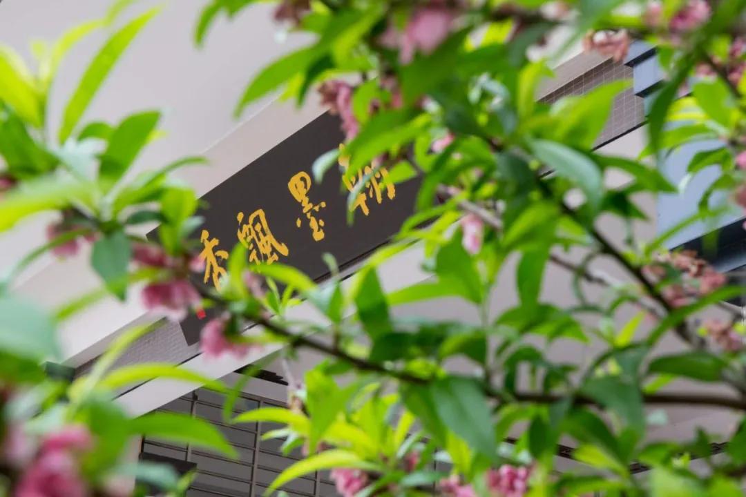 永春县桃溪实验小学2022年招生,永春县桃溪实验小学怎么样