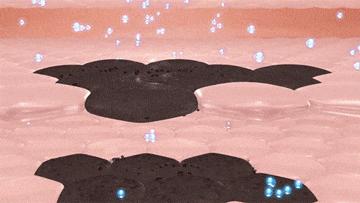 经常这样喝让你的脸色红润还养颜,每天坚持这样喝皮肤又白又嫩