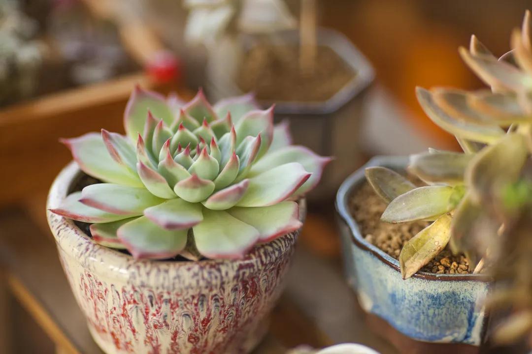 我这糟心的重生简介,我这糟心的重生