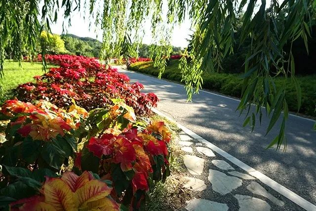 大连重阳节旅游攻略,大连九月秋游攻略