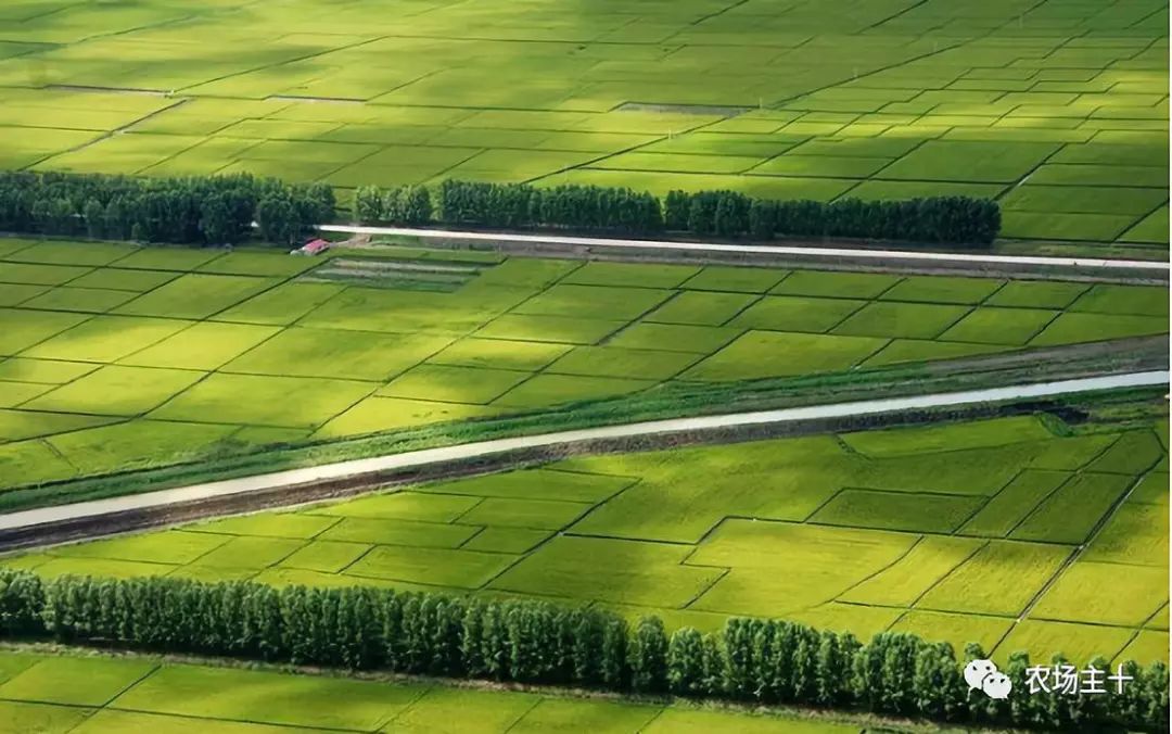 马云耕地亩产多少,马云谈现代农业