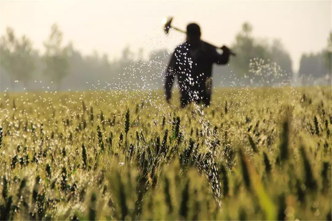 2022年200亿的农业补贴怎么发放,国家先给钱后建设的农业补贴项目