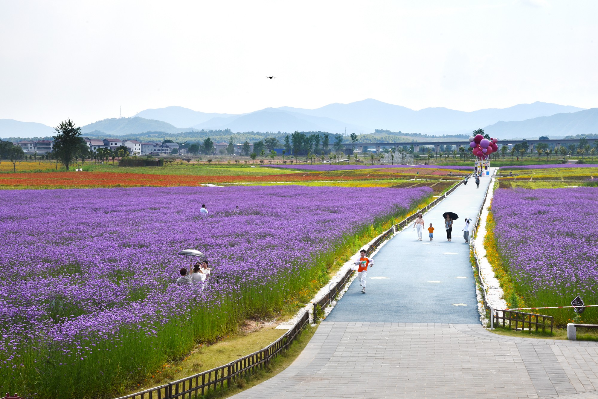 景德镇近代瓷器发展,千年瓷都景德镇有哪些瓷器