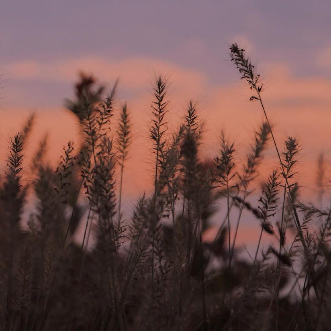 熬得住平淡的浪漫,平淡过一辈子才是浪漫