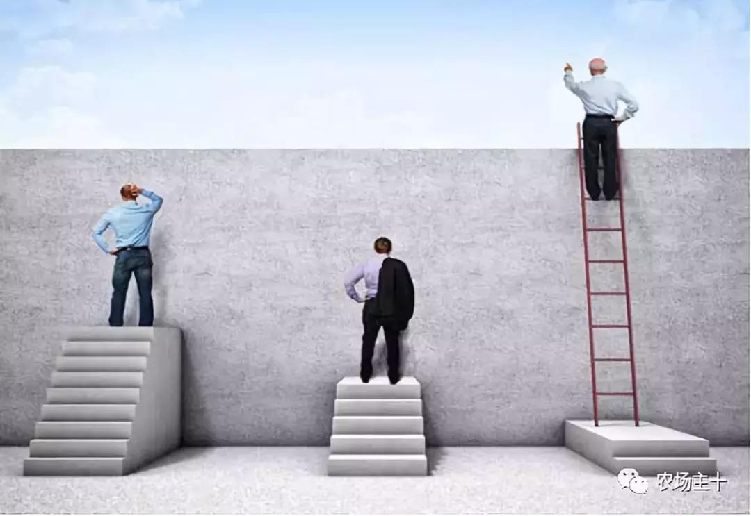 农产品众筹技巧,我国农产品众筹现状