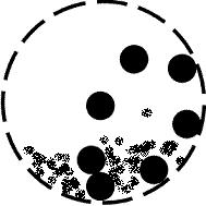 5分钟看懂电厂锅炉工作原理,电厂低压加热器工作原理及结构图