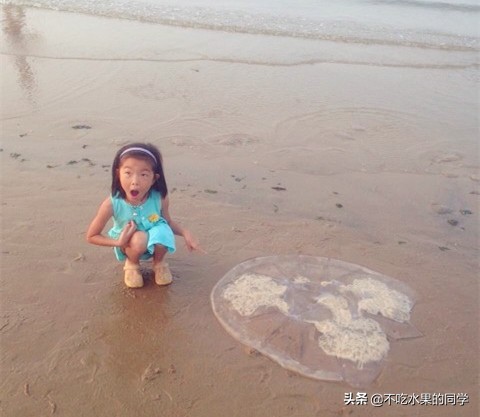 被宠物咬伤的正确处理图片,被宠物咬伤怎么办