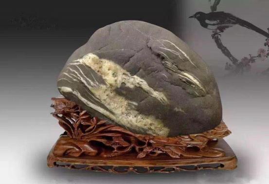 都是些什么“鸟石”？保证有你好看