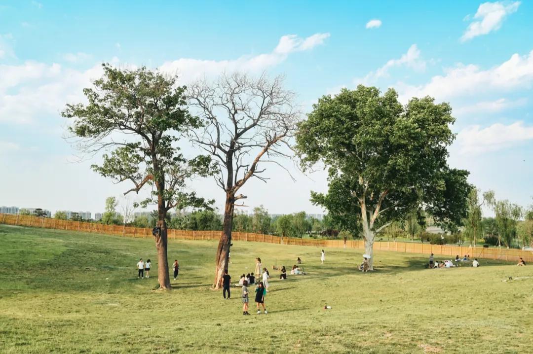 盛夏必去的网红打卡地,暑假适合去的网红打卡地